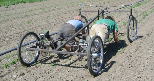 Quadricycle en expérimentation aux USA