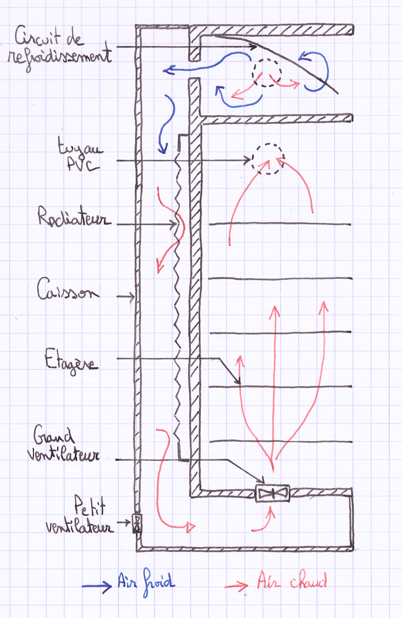 Coupe sagittale et circulation de l'air