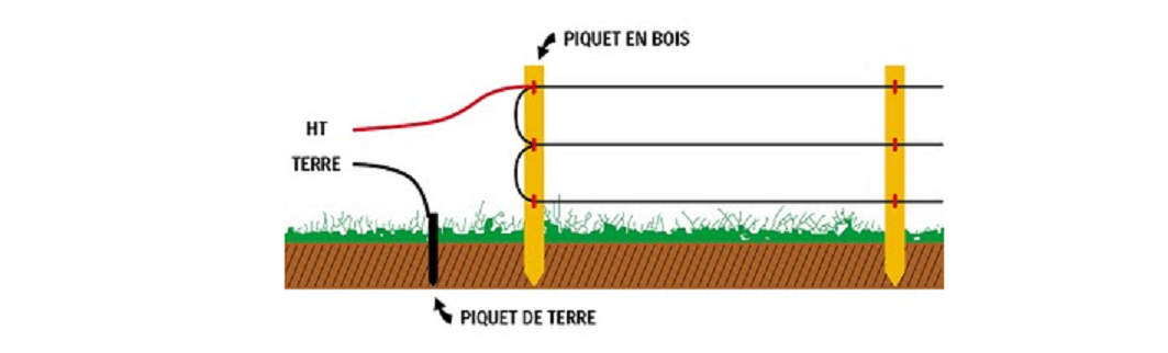 cloture electrique piquet bois .png