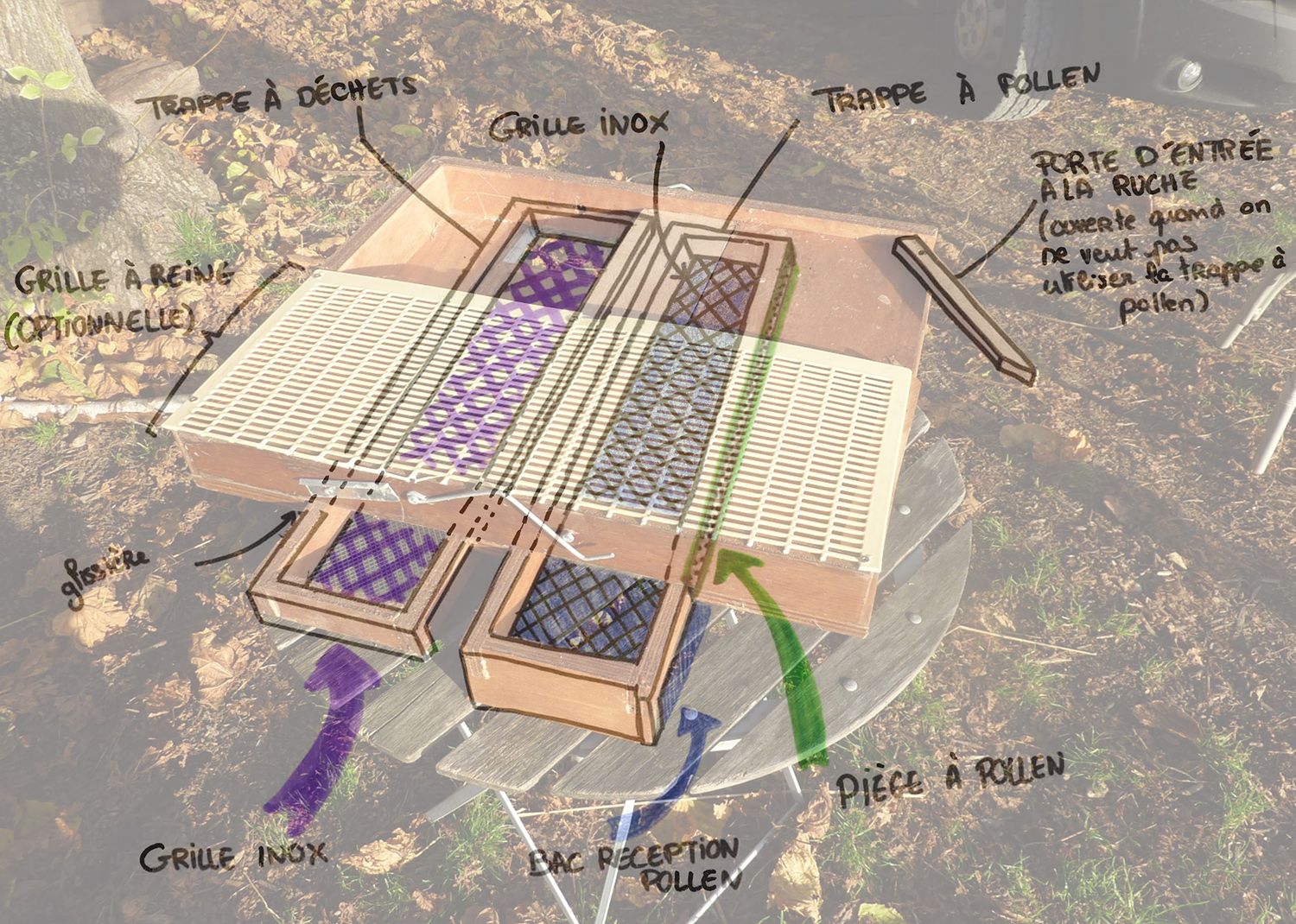 Figure 1 : Représentation du fonctionnement du plancher avec piège à pollen, trappe à pollen et trappe à déchets