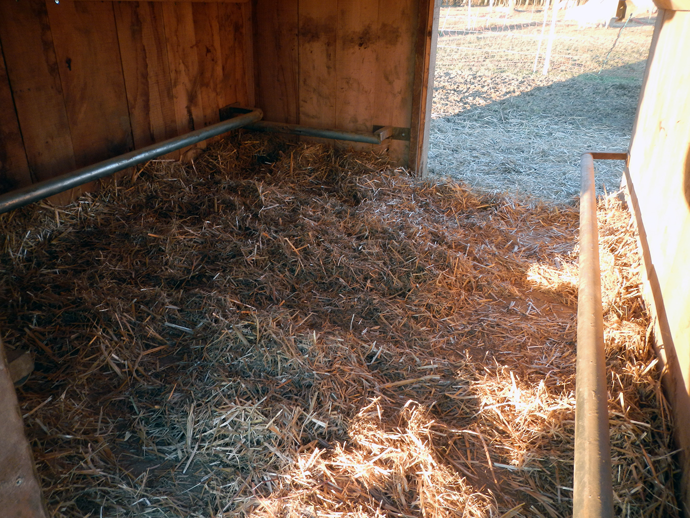 cabane_cochon_interieur.jpg