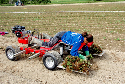 2-Modèle motorisé 1 place.jpg