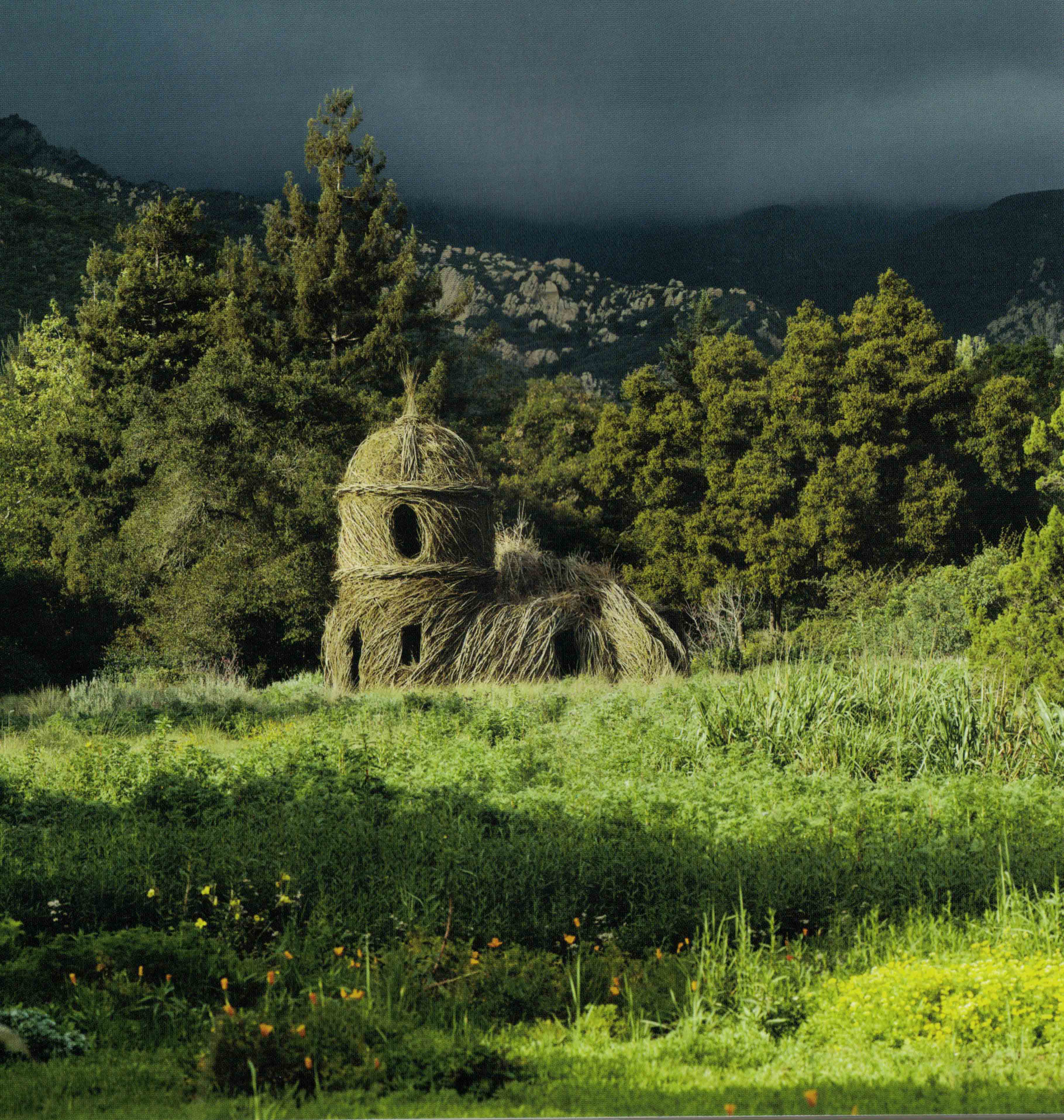 patrick dougherty.jpg