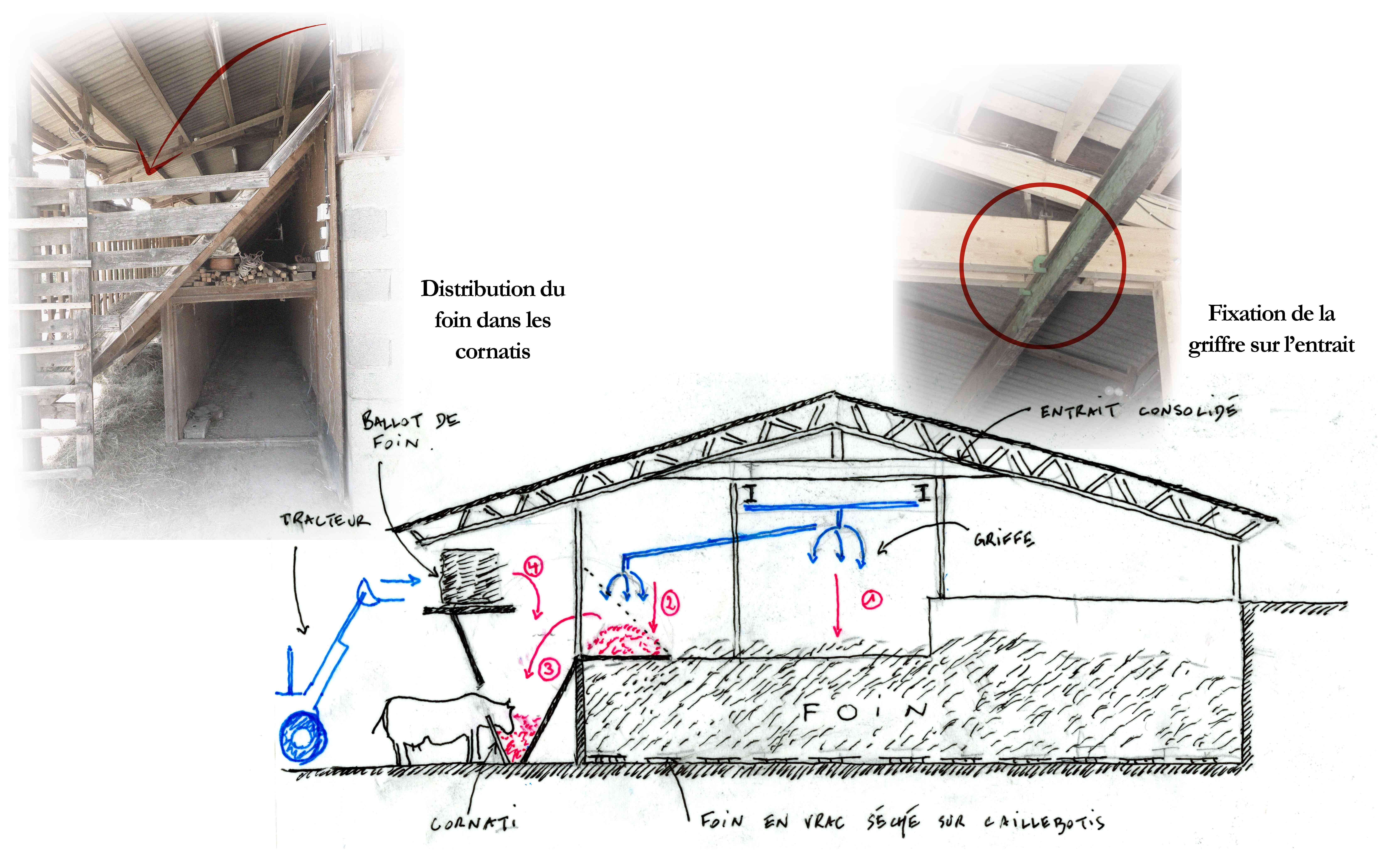 Principe du circuit de distribution du foin.<br />1. La griffe prend le foin dans les boxes 2.le foin est déposé sur la plate-forme 3.une personne le pousse dans les mangeoires 4.ouverture et distribution des ballots de pailles.