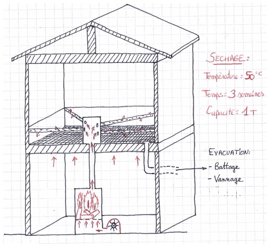 Coupe transversale de la clède