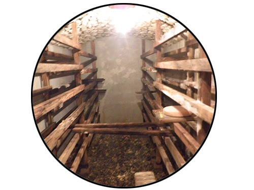 Cave semi enterrée : construction en moellons / voûte en pierre apparente. Ergonomie : un lavabo à l'entrée permet de respecter facilement l'hygiène de la cave.