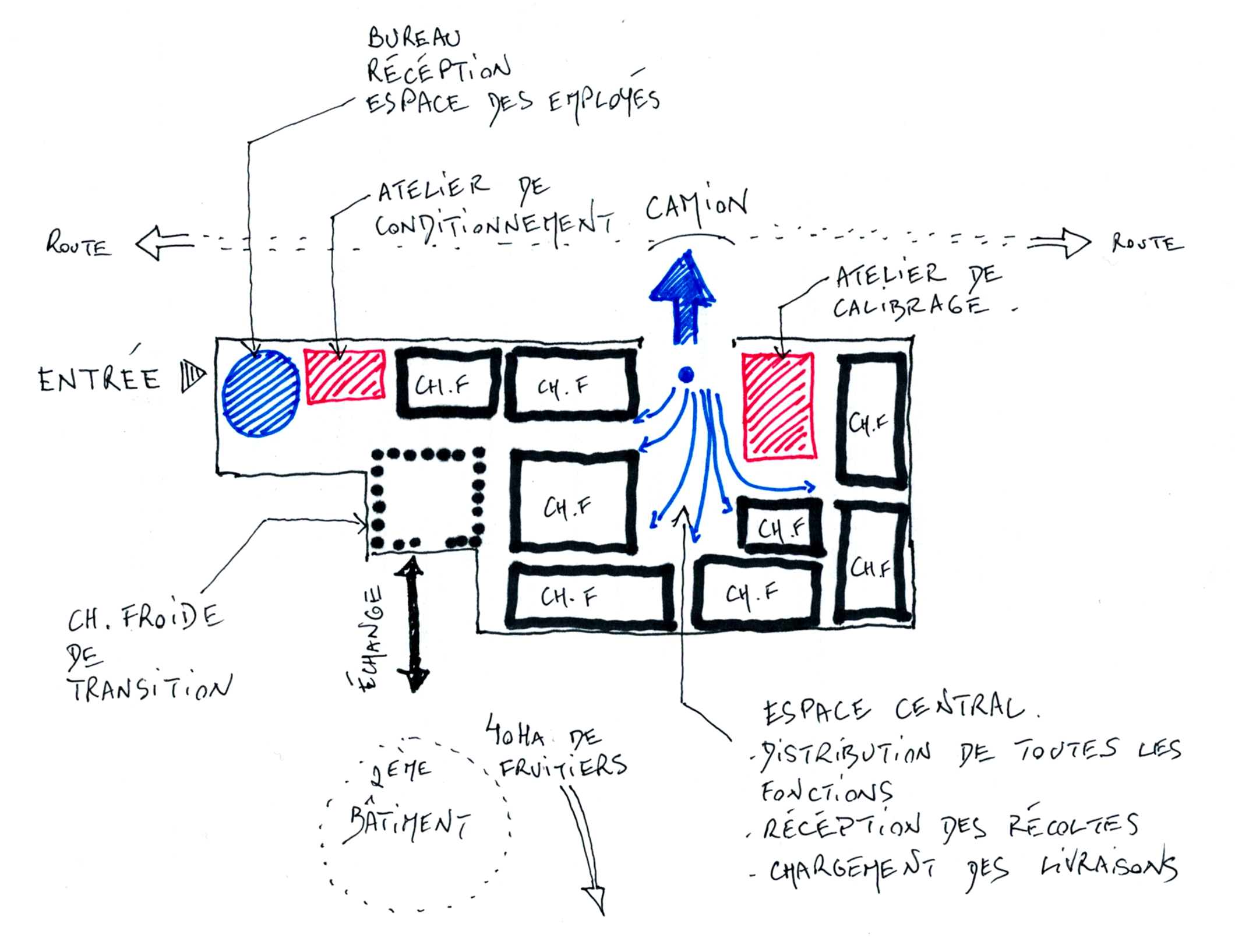 Ce plan schématique n'a pas de valeur d'échelle mais permet de comprendre quel est le parti pris pour l'organisation fonctionnelle du bâtiment. On remarque une aile gauche avec des fonctions plus diversifiées (salle de conditionnement, réception, bureau...), et le corps du bâti à droite, 100% organisé autour du hall central.