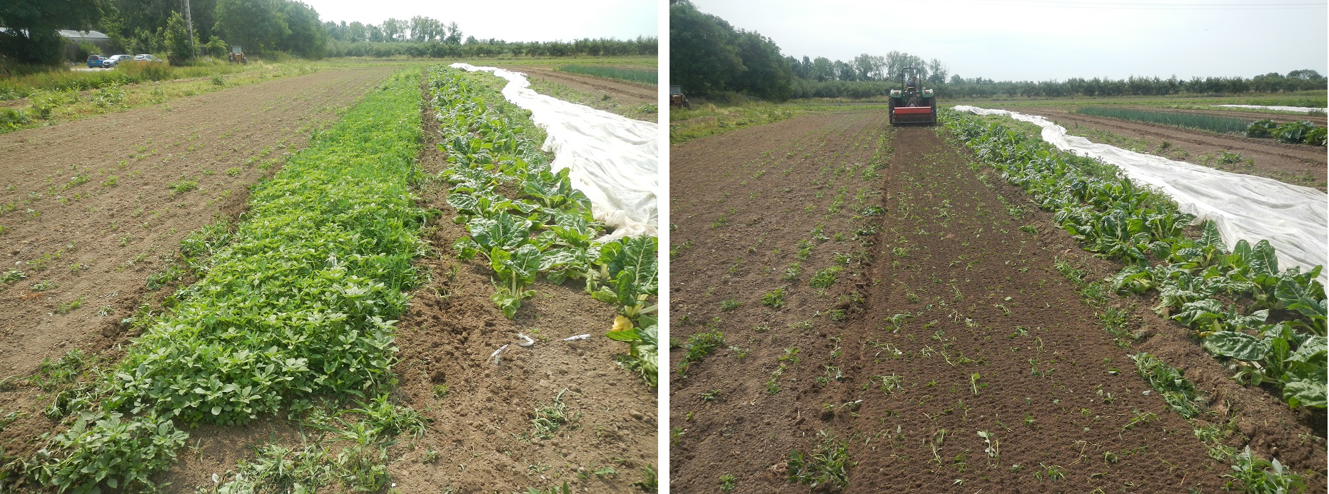 Comparaison avant/après passage