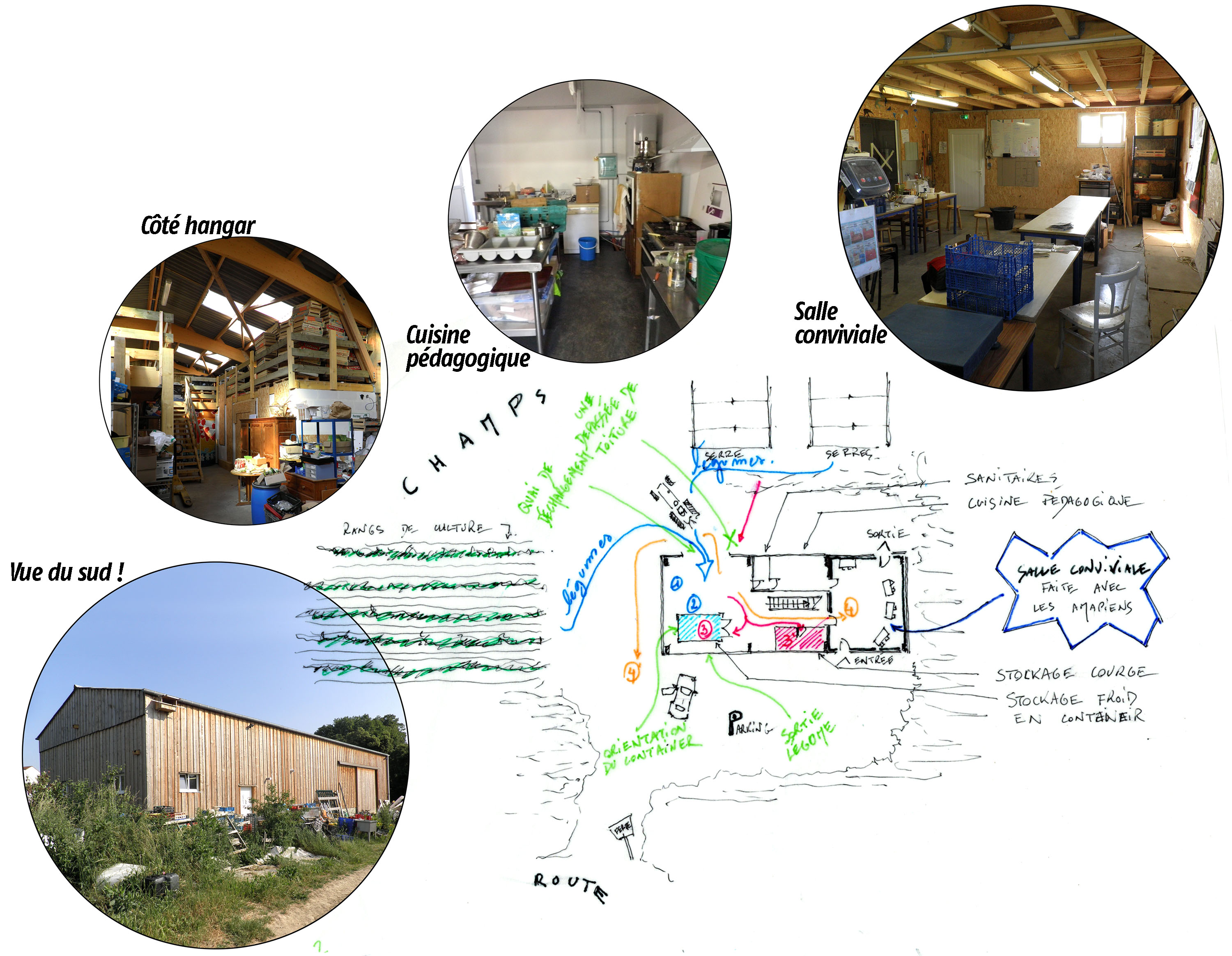 Ici, on peut s’imaginer les flux dedans et autour du bâtiment. En bleu, les légumes s'achemnie vers le circuit de lavage (1) et de conditionnement (2). Puis, soit il est stocké (froid et chaud 3) soit il part directement en distribution extérieur par la camionette (4') soit il est distribué sur place (4).<br />En vert sont les corrections que l'on pourrait apporter au niveau fonctionnel.<br />Le bâtiment fait 10m par 26m. Le nord est en bas.