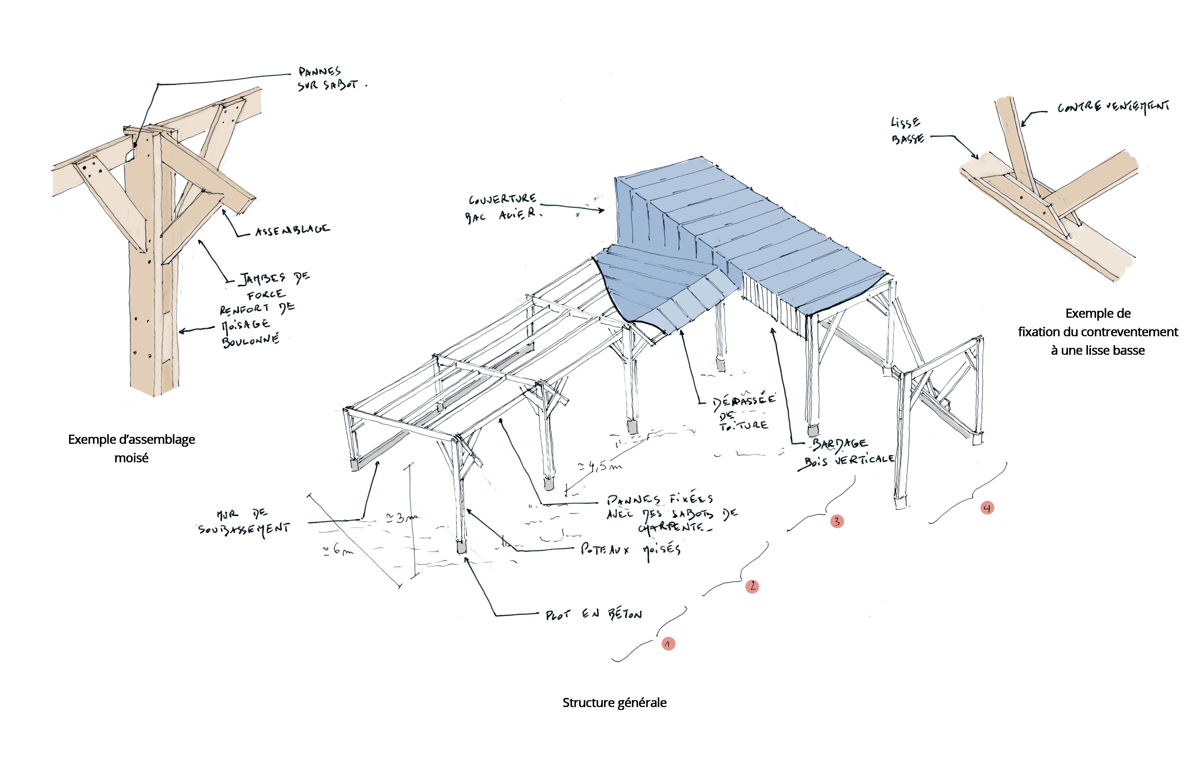 structure générale.jpg