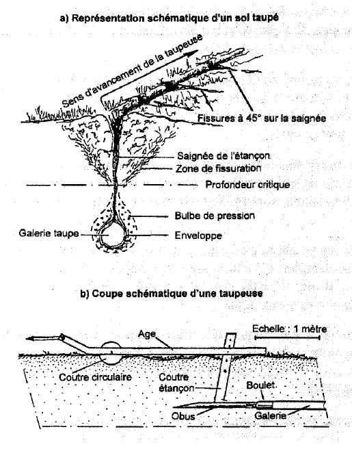 Mangin et al fig.2.PNG