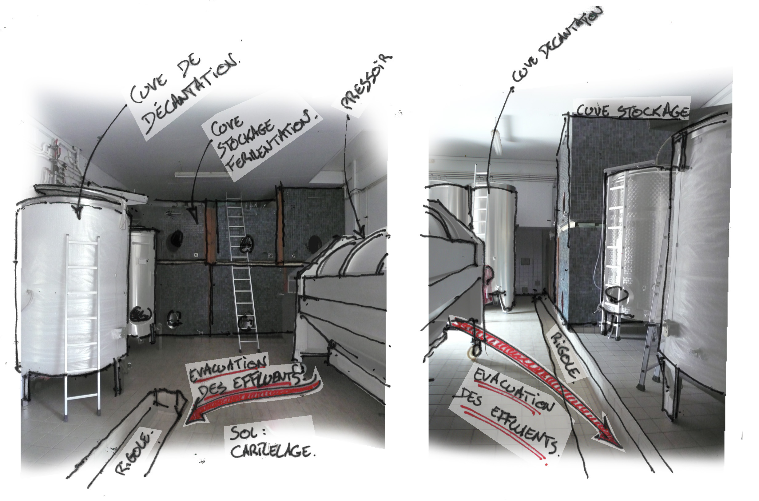 Vues du local de cuvage