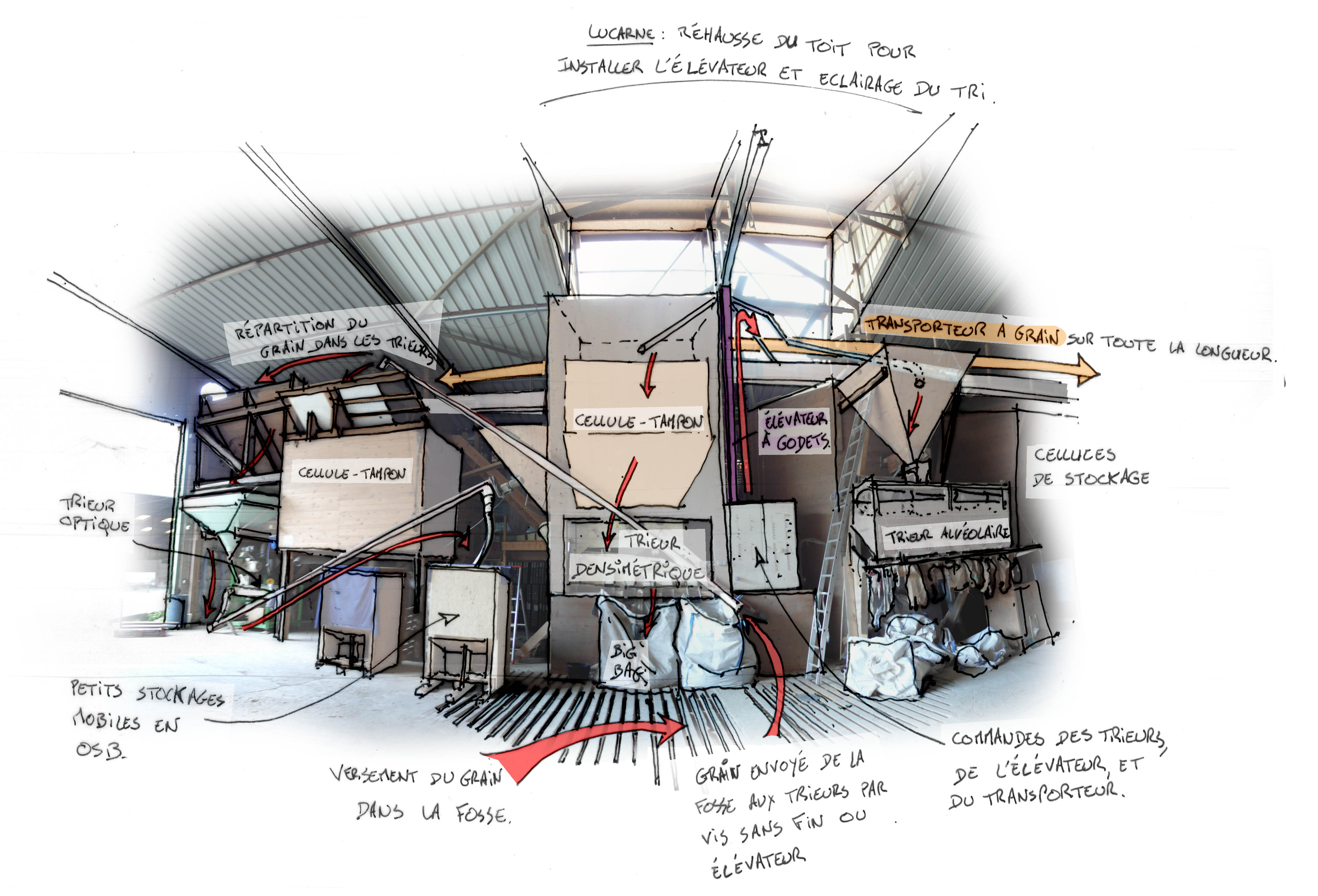 Organisation de l'espace de tri : fosse à grain &gt; élévateur &gt; trieurs &gt; stockage