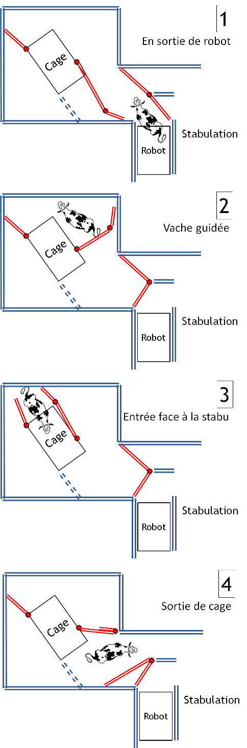 Positionnement stratégique de la cage