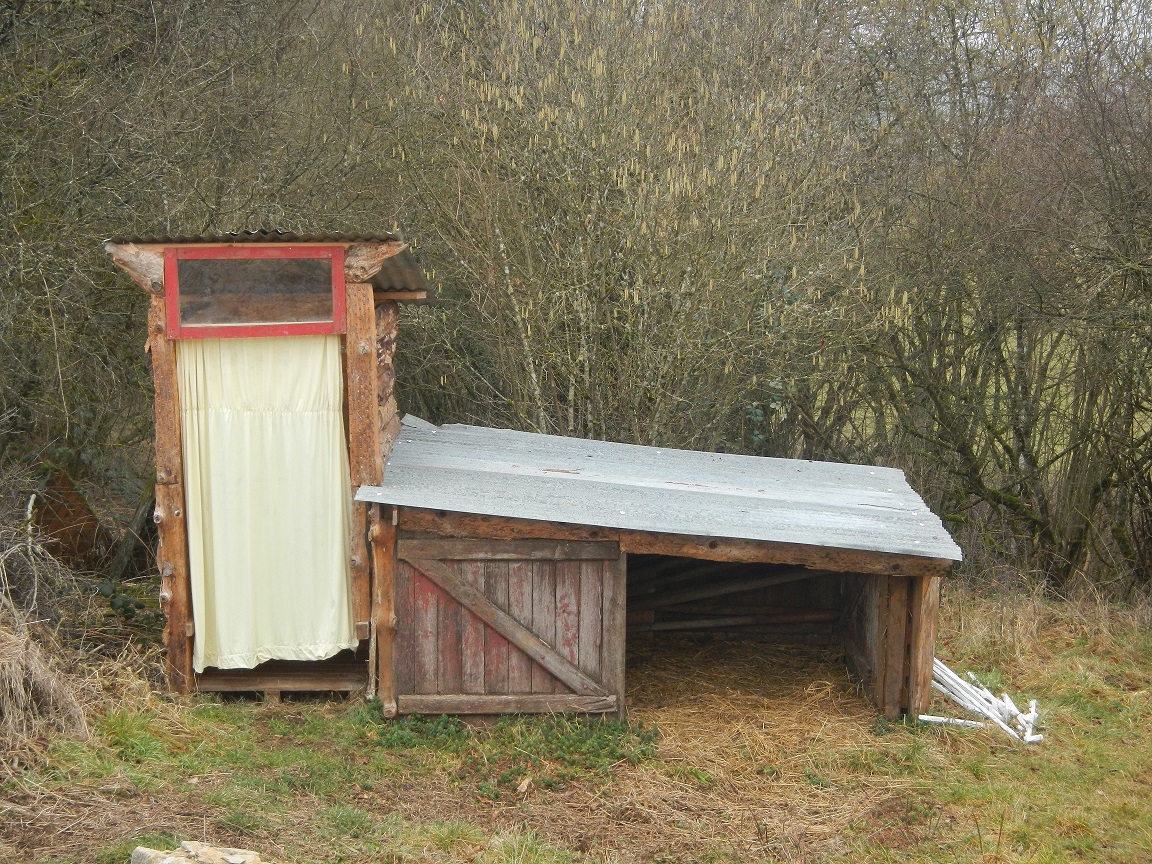 Cabane à cochons.JPG