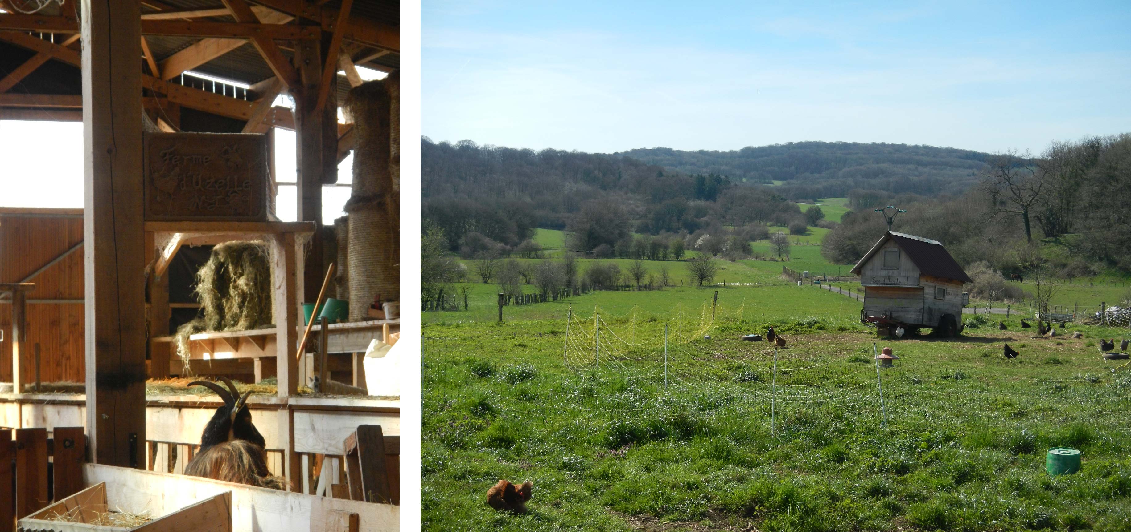 La ferme d'Uzelle.jpg