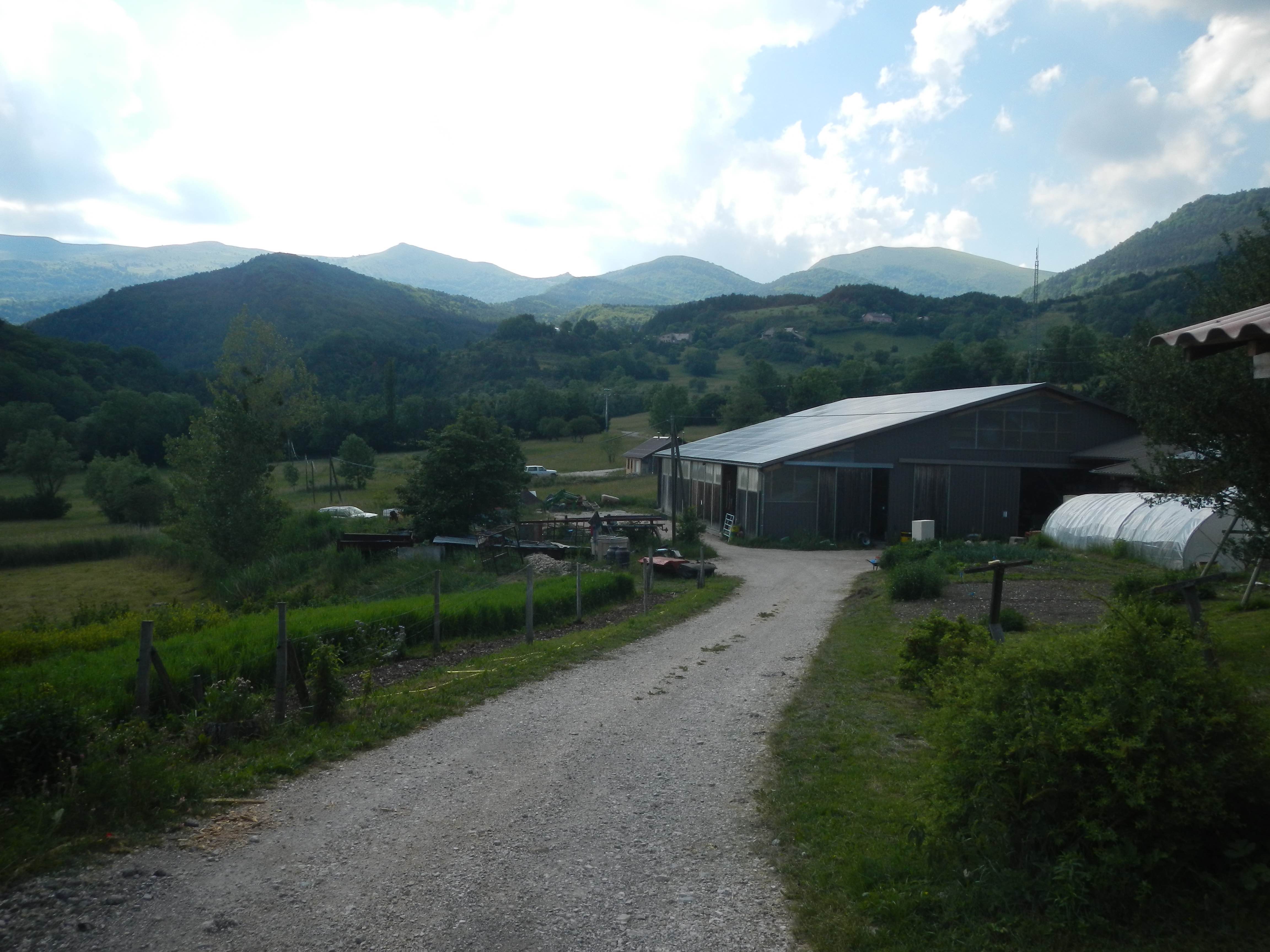 La ferme du Forest.jpg