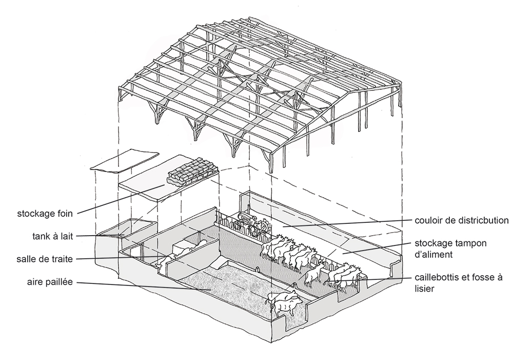 Le bâtiment de Luc et son organisation