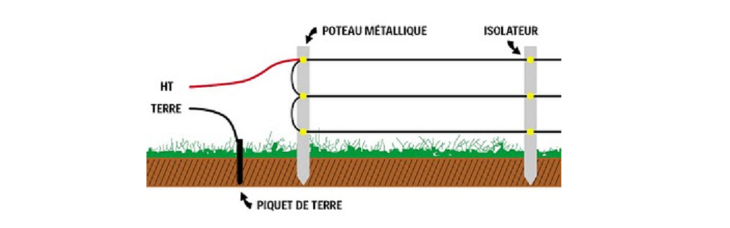 cloture electrique piquet métal.png