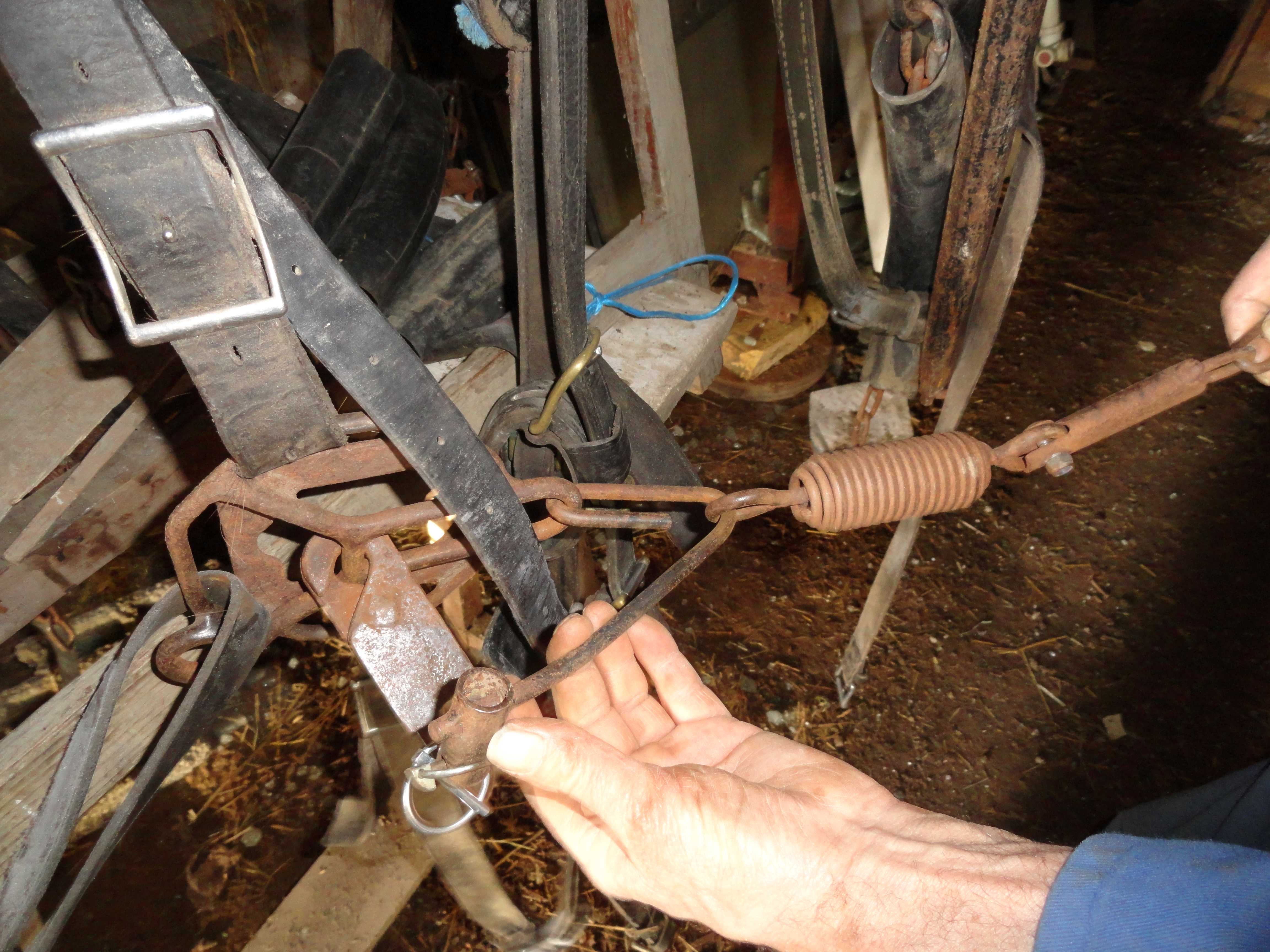 Le système écarte la longe du flanc et la maintient parallèle. De plus, son anneau bricolé permet aux sangles de se positionner de manière optimale sur les flancs du cheval