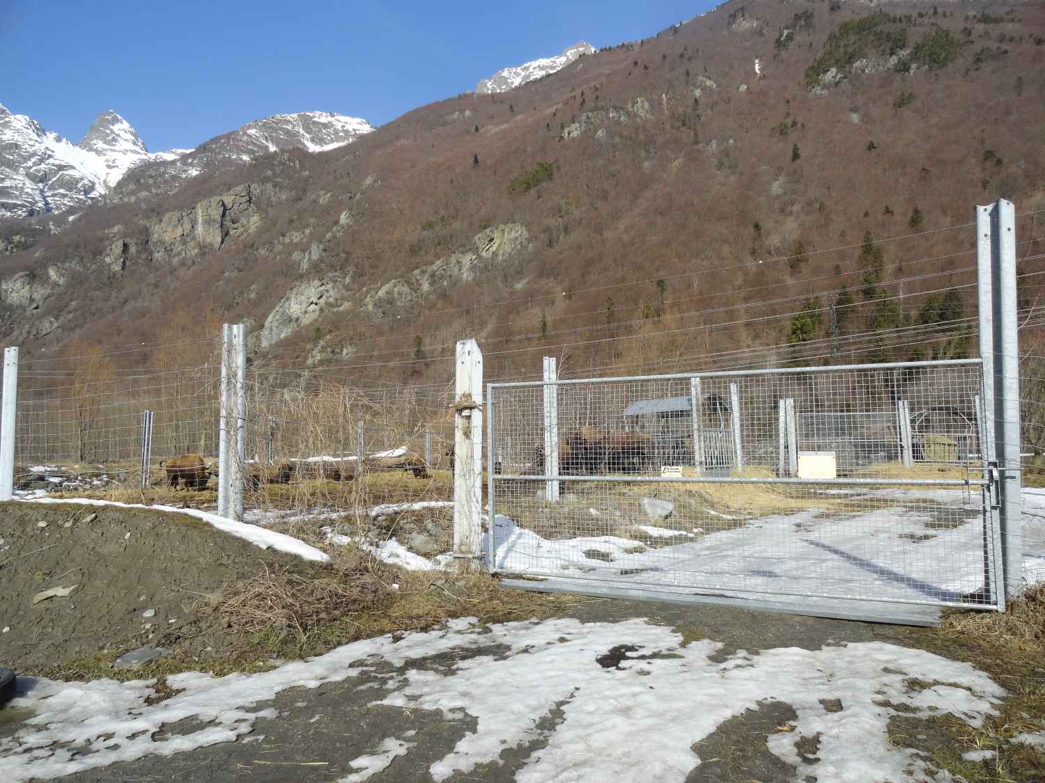 Le corral des bisons à gauche. Il est surélevé par rapport à la vallée afin d’éviter que les bisons aient les pieds dans l’eau s’il devait y avoir une inondation de la plaine (la Romanche passe non loin de là). L’accès se fait via une barrière accrochée aux glissières.