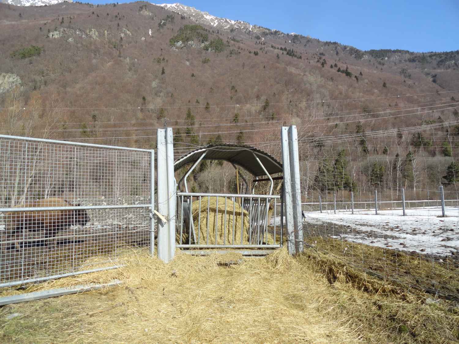 les mangeoires sont chargées en ballots directement via le tracteur