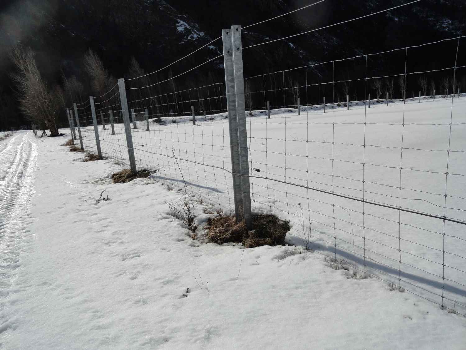 Les clôtures sont enfoncés dans le sol grâce à un passage de charrue