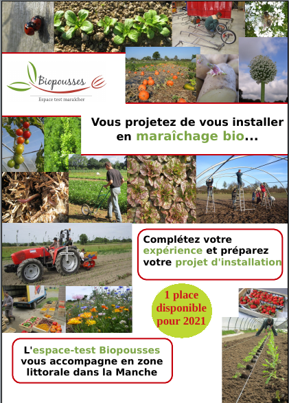 Recrutement porteur de projet 2021- image 1.png