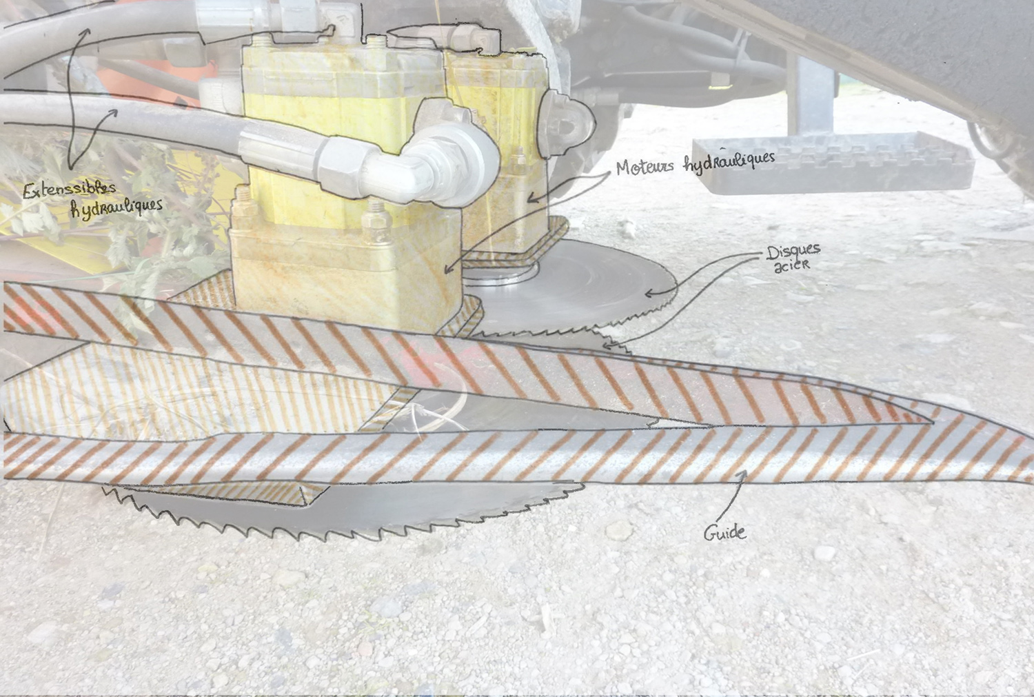 Figure 5 : Schéma de la zone de coupe