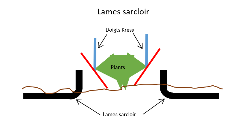 Schéma sarcleuse