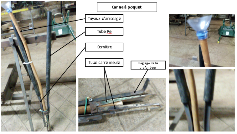 canne à planter1.PNG