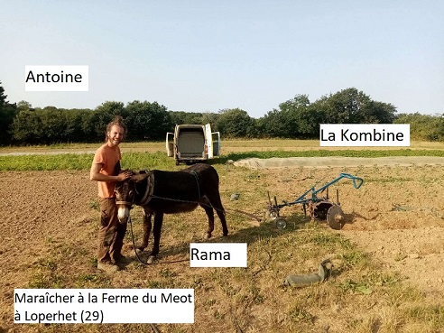 Un trio indissociable : l'humain, l'animal et la machine (Ferme du Meot 2022)