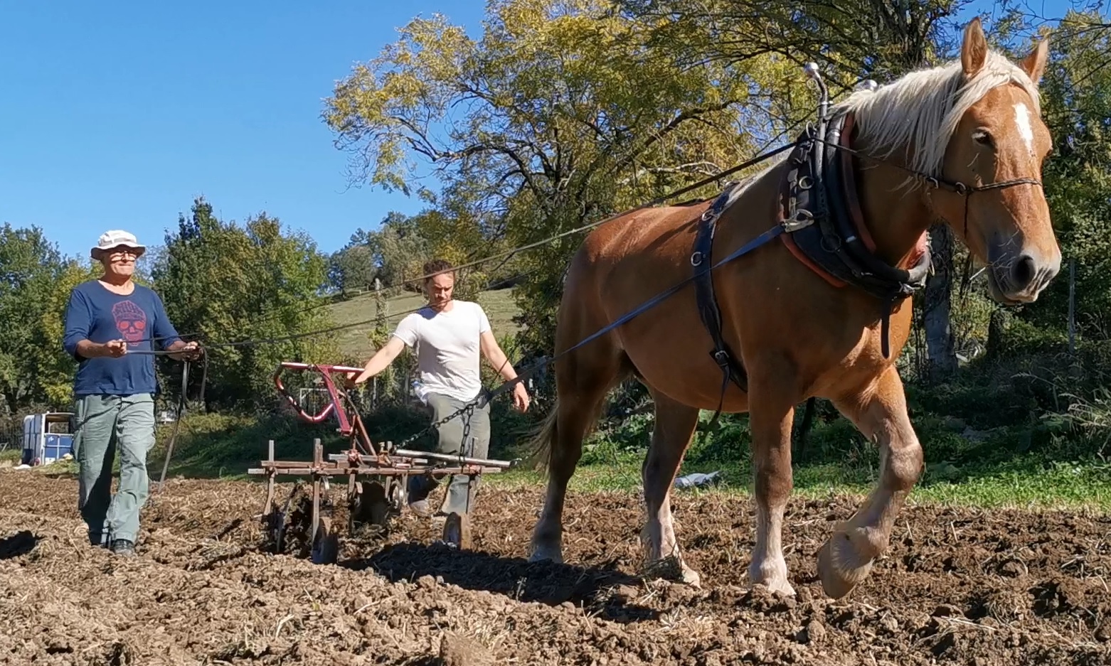 Formation aux Jardins d'Illas (2022)