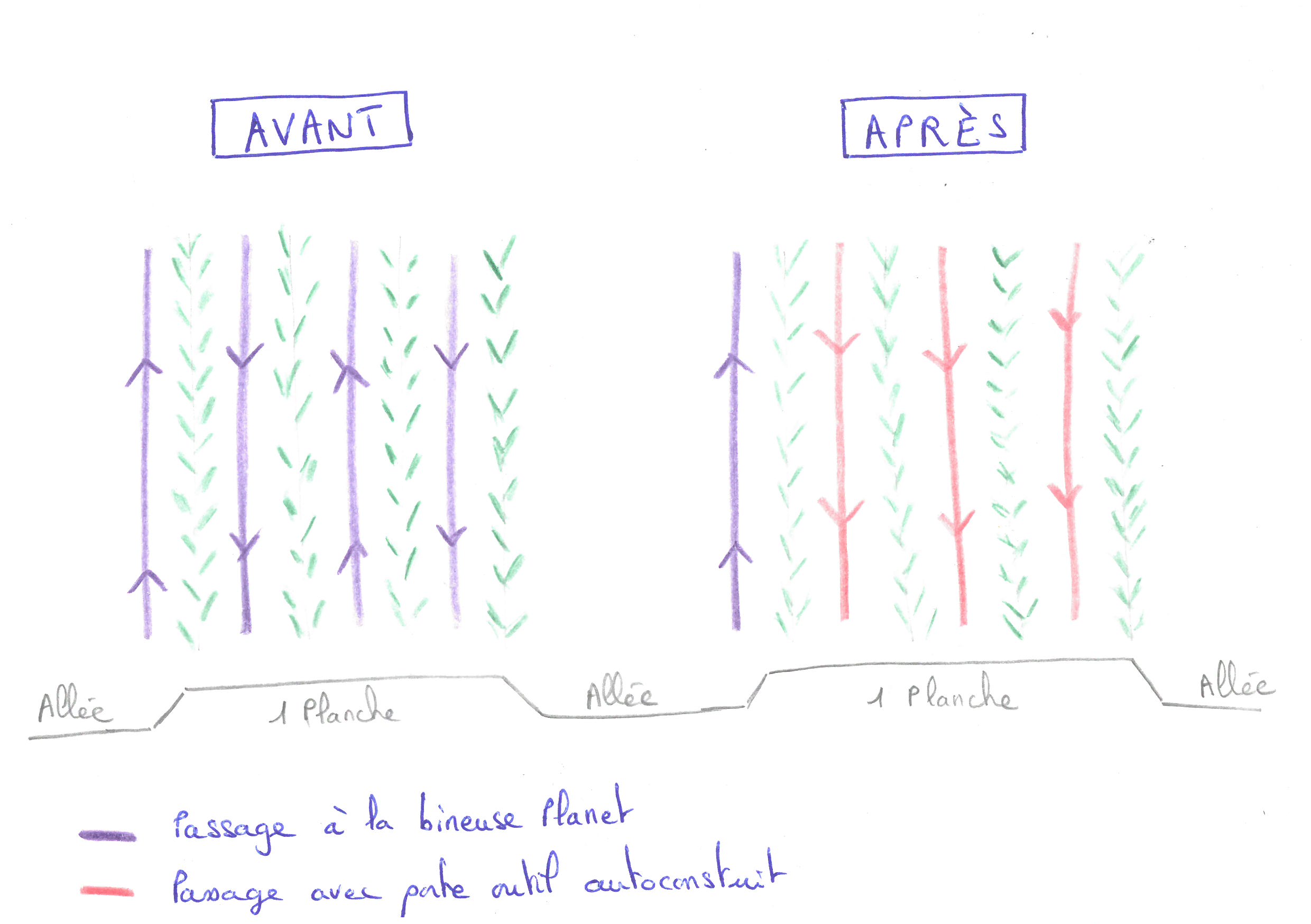 Schéma des passages pour le binage.jpg