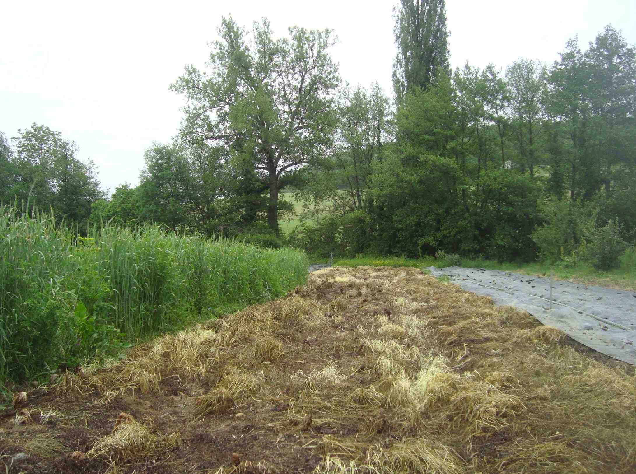 après bâchage.jpg