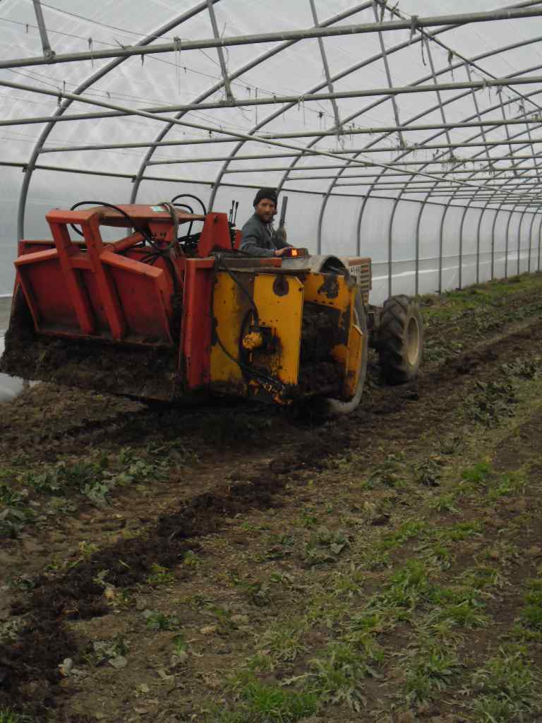 dessileuse et compost.jpg