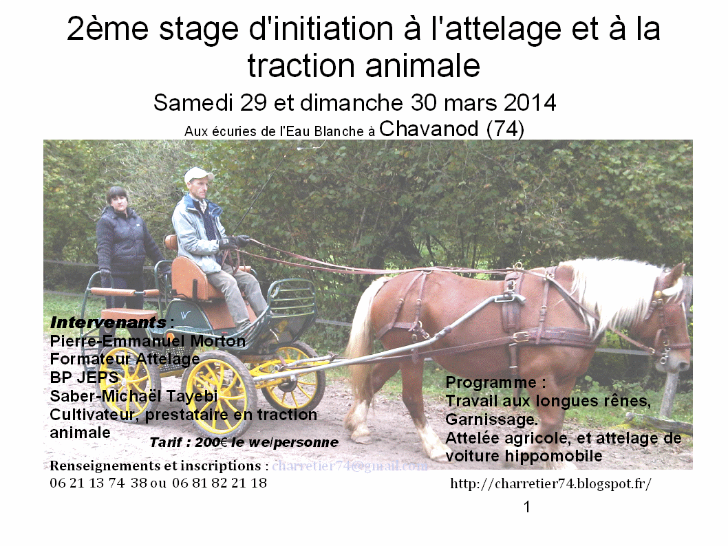 affiche stage mars 2014.gif